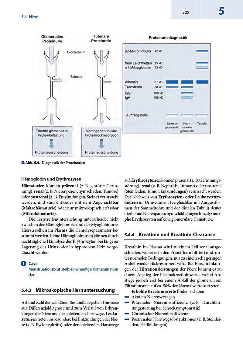 Das Zweite Buch Des Blutes Pdf