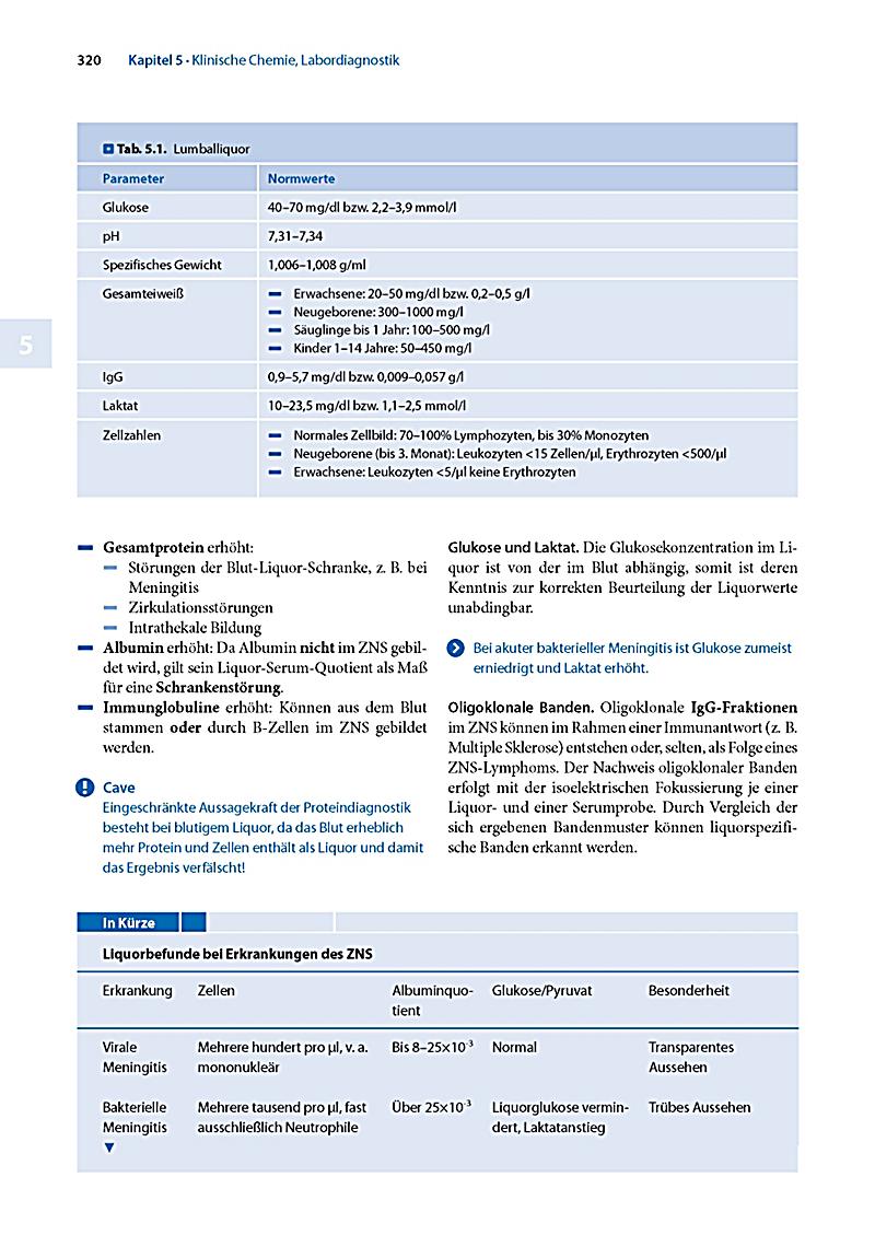 pdf einführung in die amerikanistikamerican studies 2008