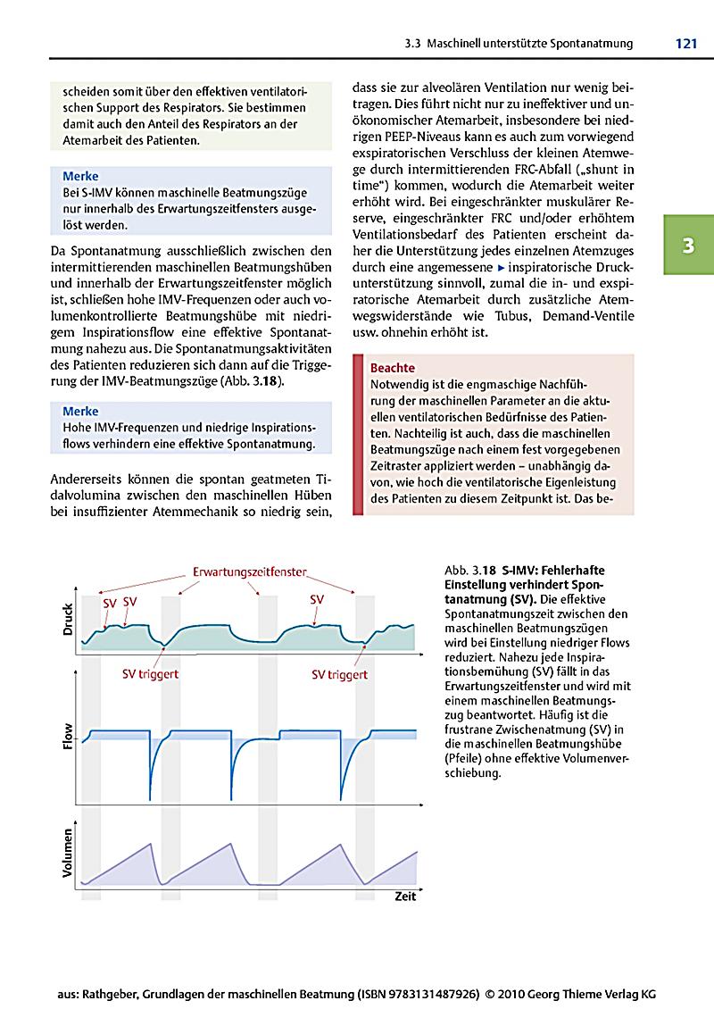Grundlagen Der Maschinellen Beatmung Buch Portofrei - Weltbild.ch