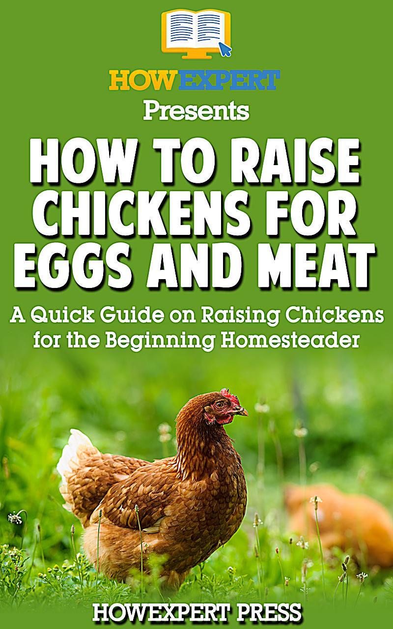 raising chickens for eggs pdf