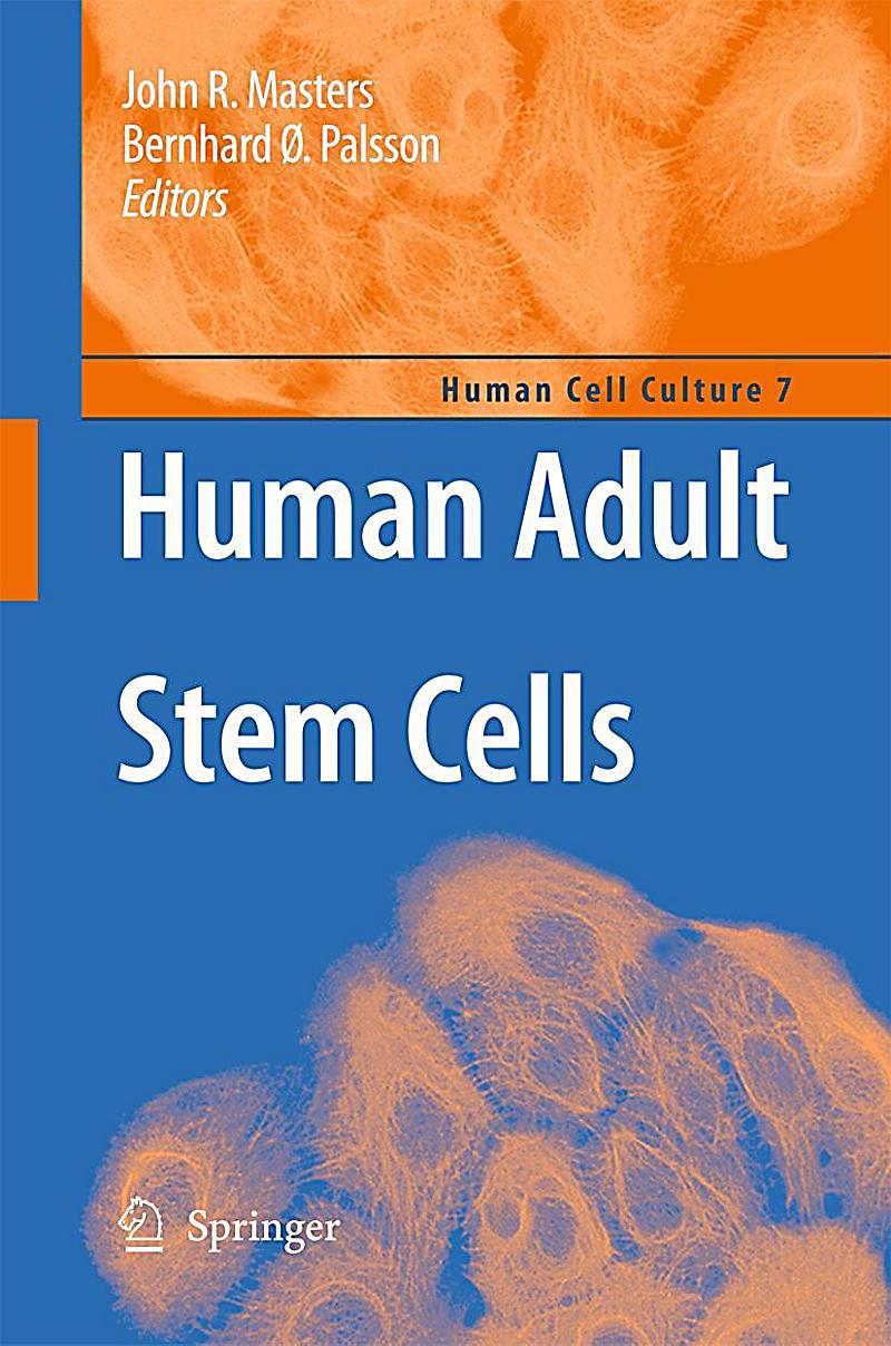 Human Adult Stem Cells 20