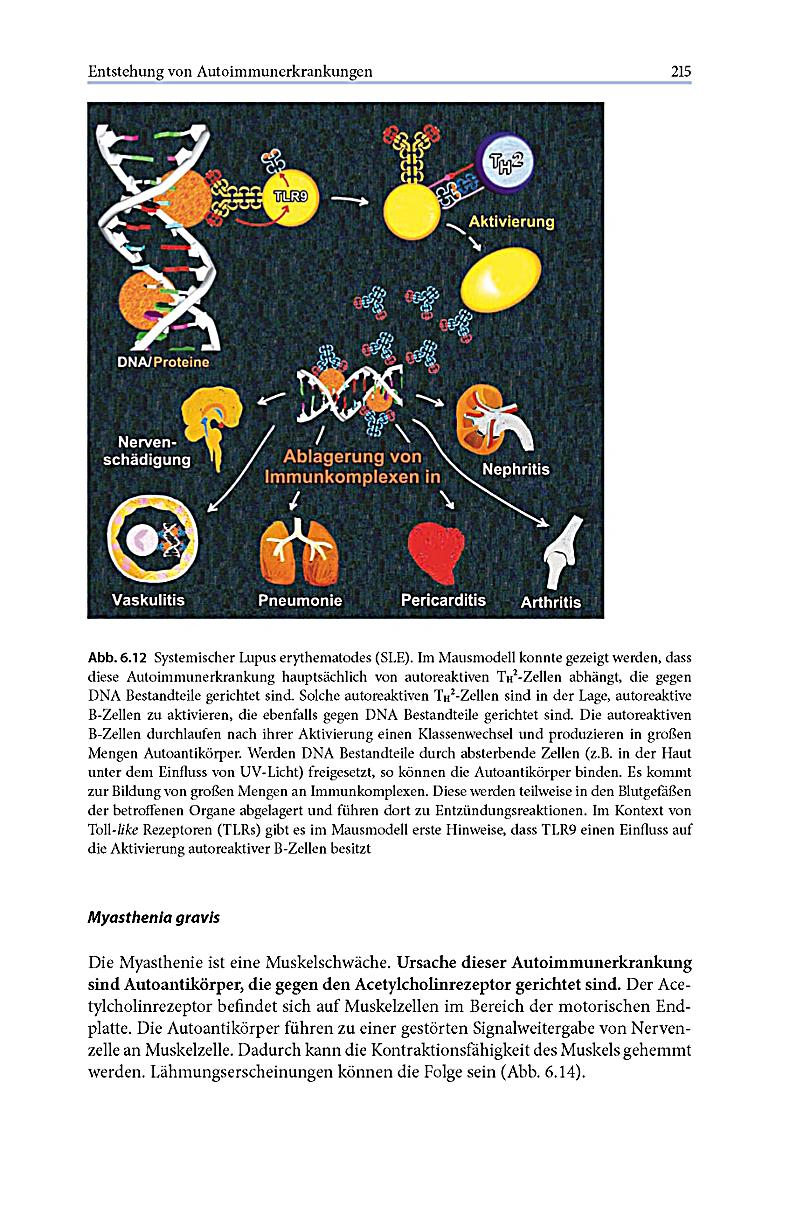 read preventing hiv infection among injecting drug users in high risk countries an assessment