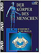Der Körper Des Menschen Der Körper Des Menschen