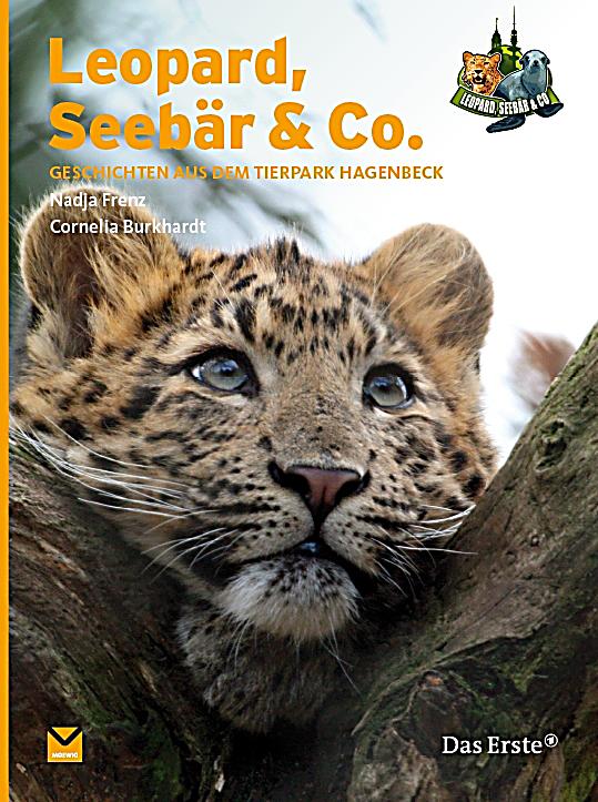 Leopard Seebär Und Co Leopard Seebär Und Co
