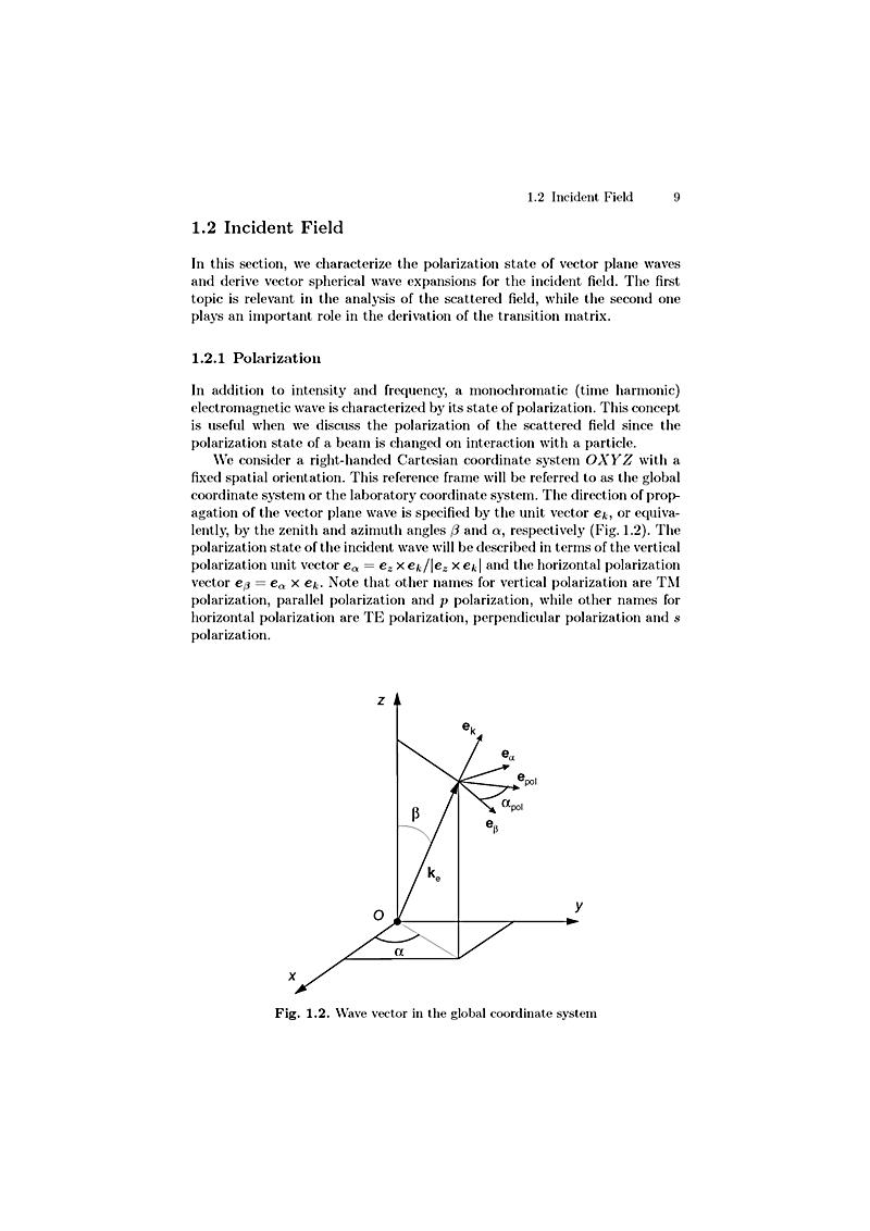 epub Ostatnio widziany