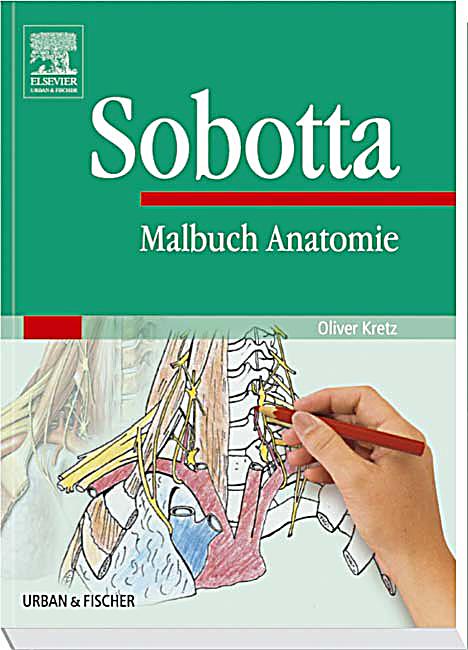 Malbuch Anatomie Buch von Johannes Sobotta portofrei - Weltbild.de