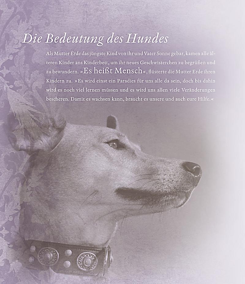 Mehr als nur ein Hund Buch von Anne Seven portofrei Weltbild.de