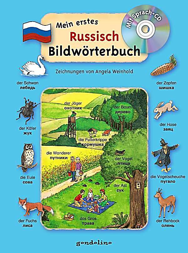 Diese Vorteile haben Sie, wenn Sie Basis- und Aufbaukurs durchgelernt haben: