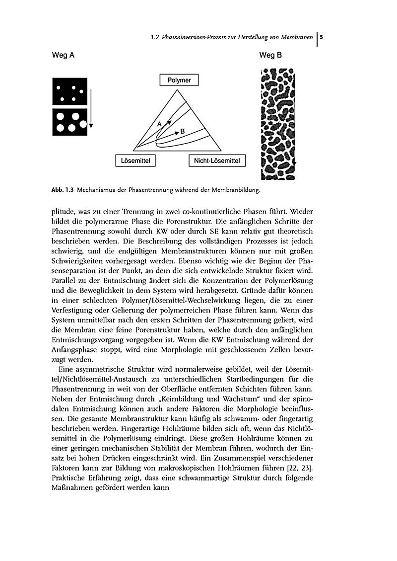 download The Cell Biology of