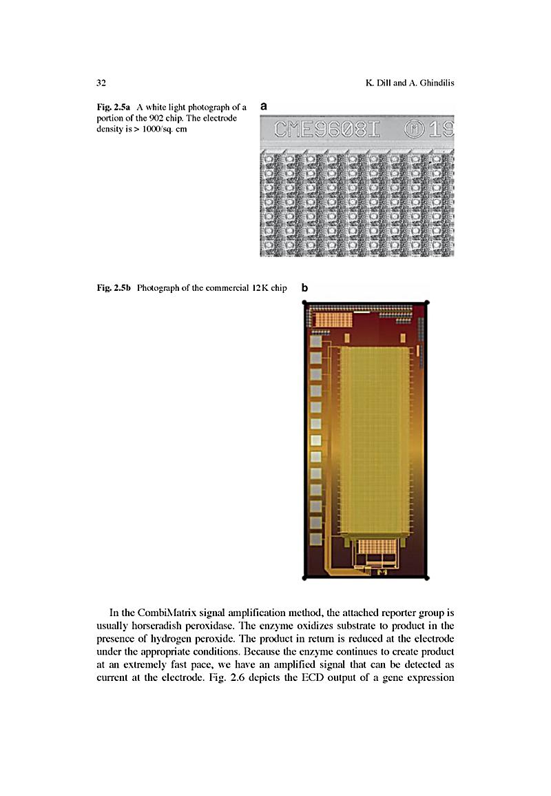 pdf computer