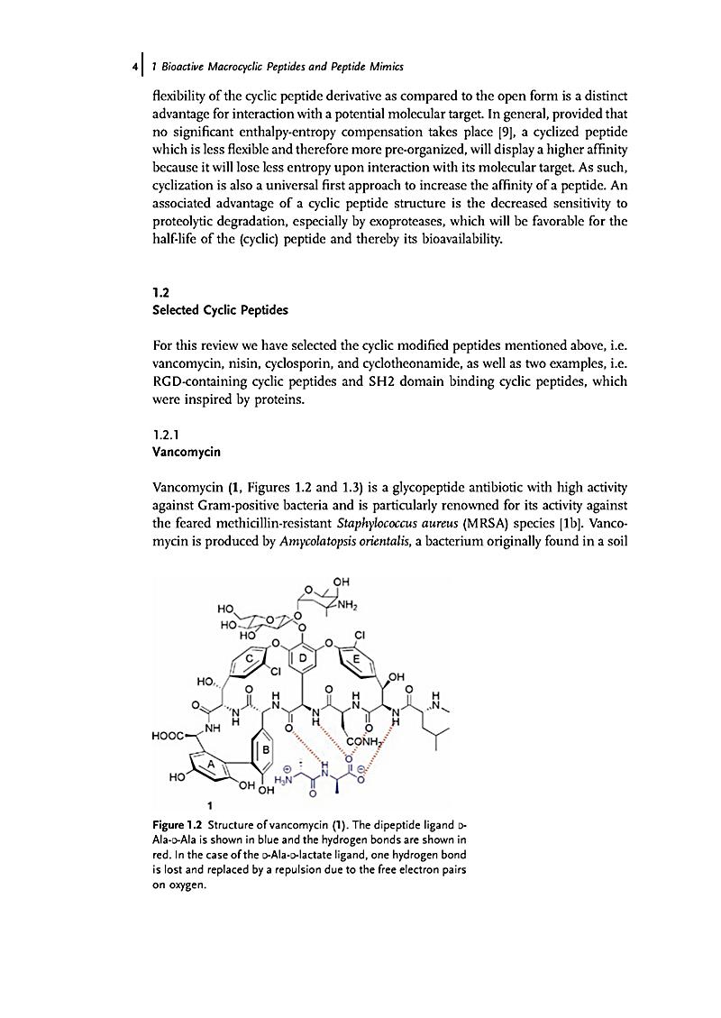 download resource based and evolutionary