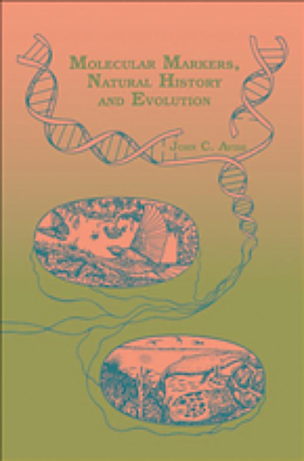 pdf photodegradation and light stabilization of heterochain polymers 2006