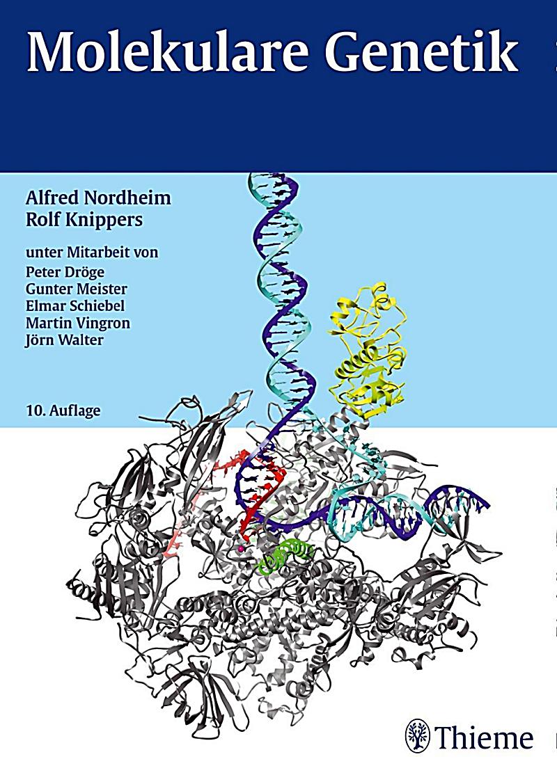 free representations of algebras vol i icra ix