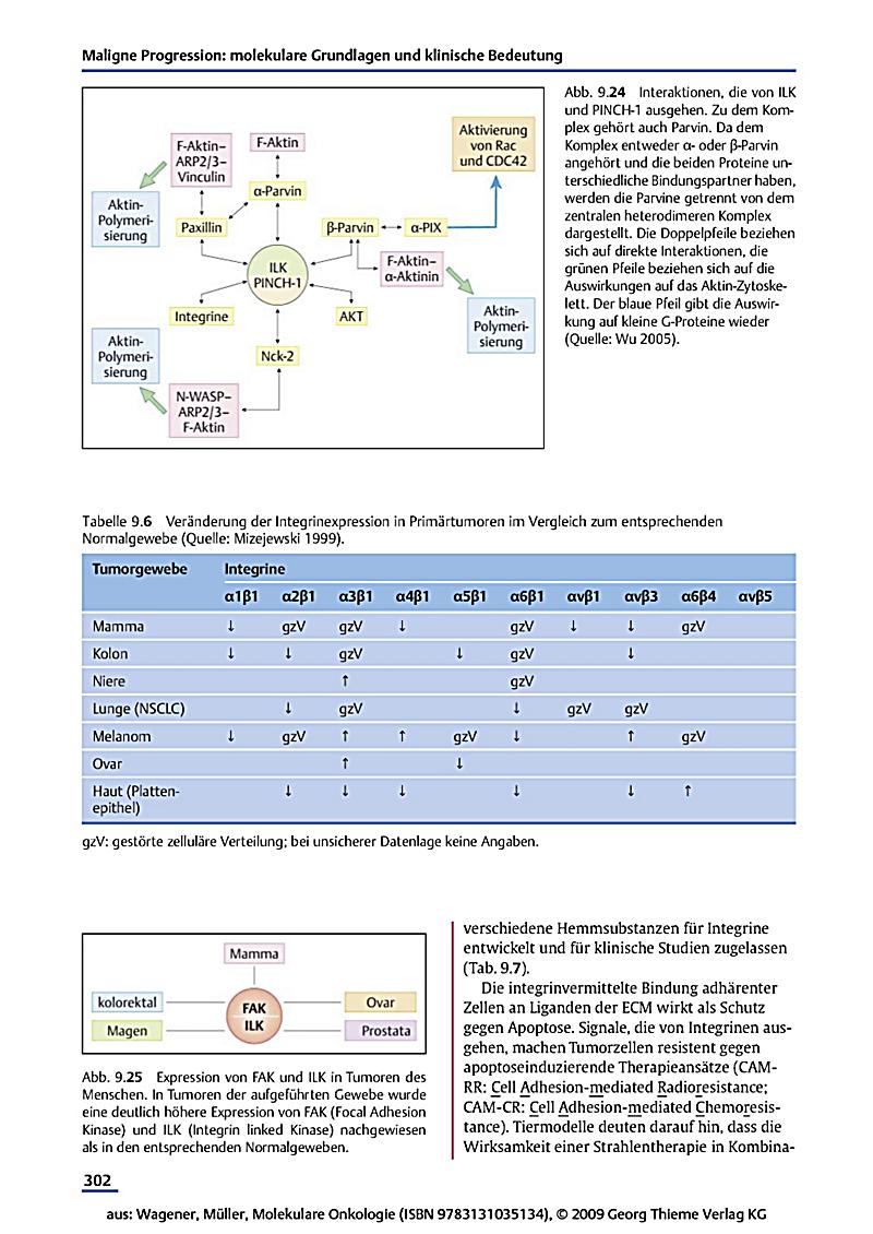 download non binary error control coding for wireless communication and data storage