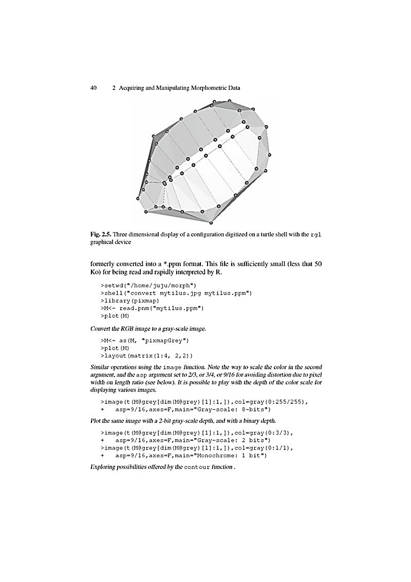 Download Discrete