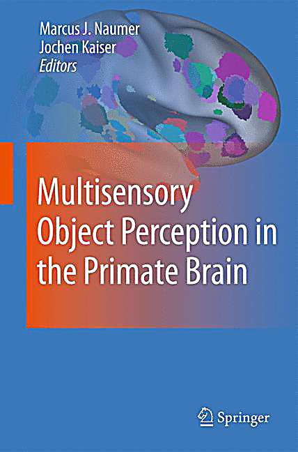 Multisensory Object Perception In The Primate Brain