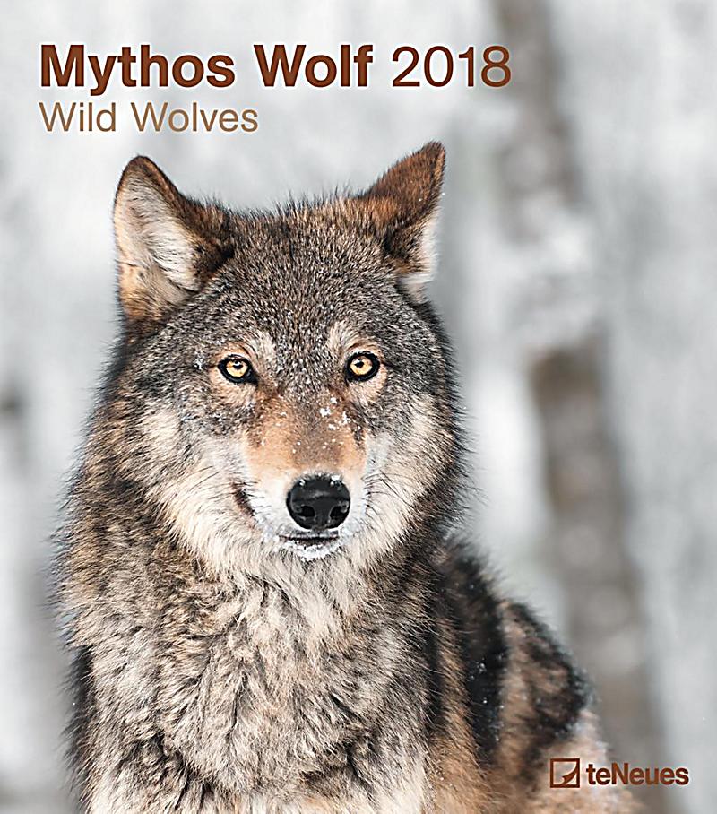 Mythos Wolf Mythos Wolf