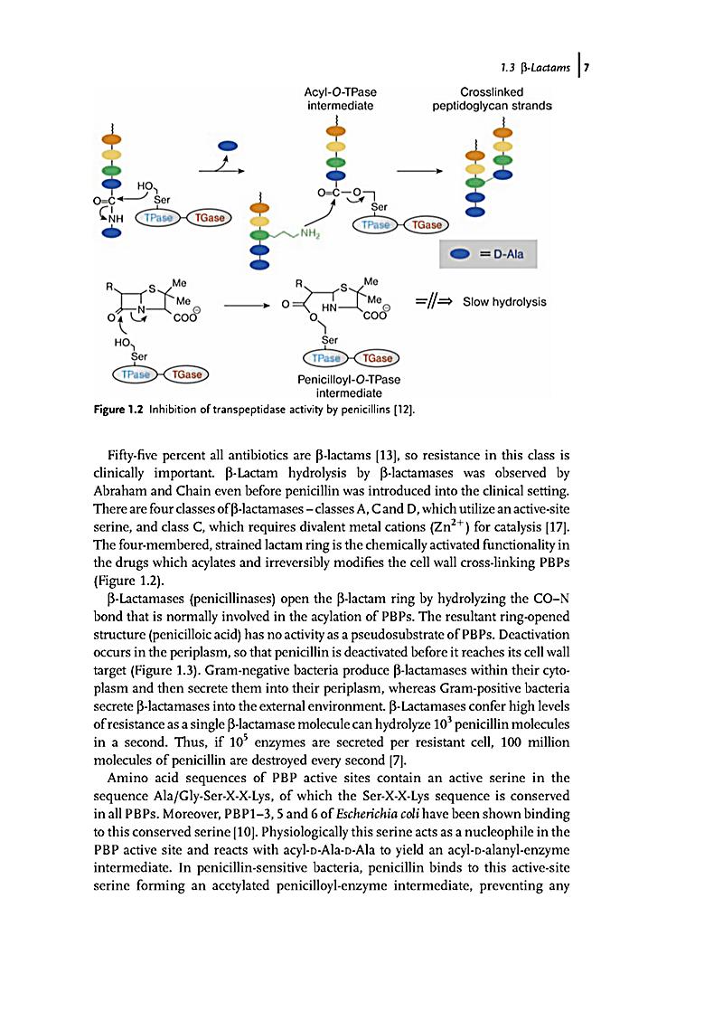 download understanding drug issues a