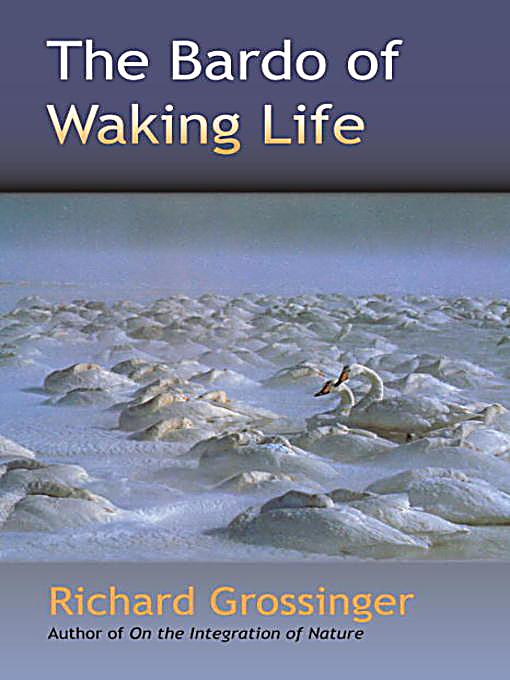Waking life film critique essay