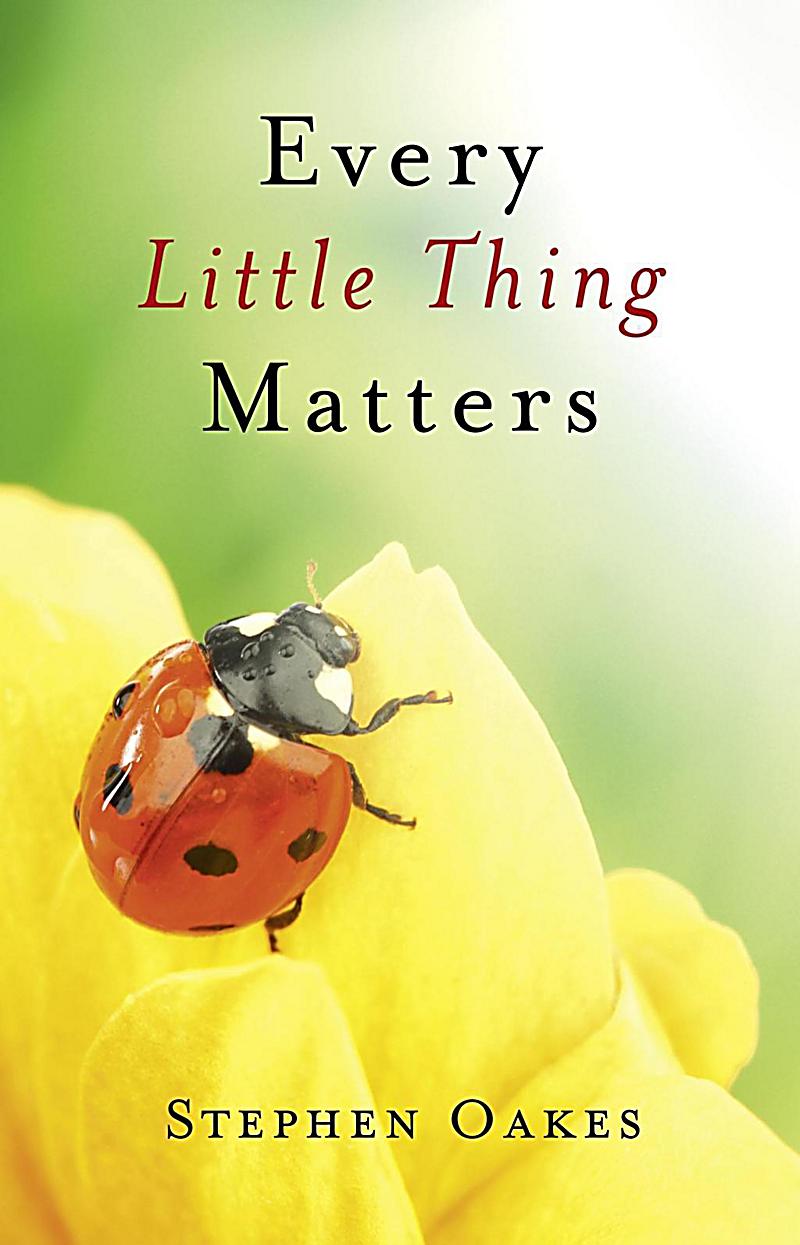 O Books Every Little Thing Matters Ebook Jetzt Bei