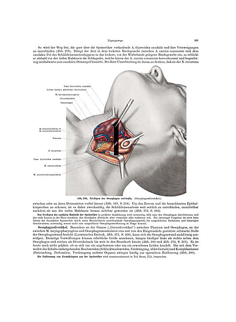 book Коррекцион.