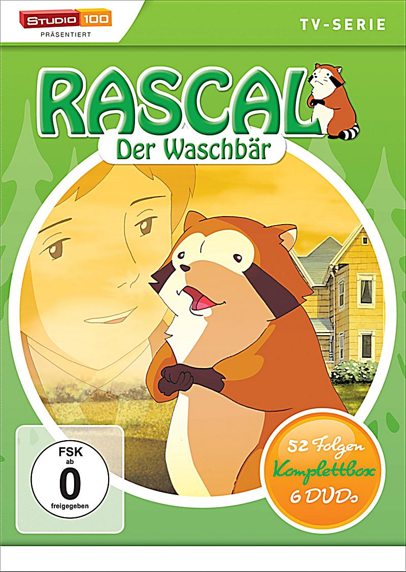 Rascal Der Waschbär