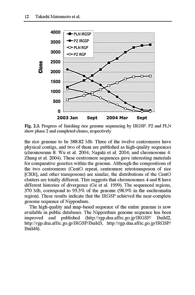 online Chromatographic Analysis of the