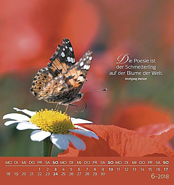 Schön, Dass Es Dich Gibt Schön, Dass Es Dich Gibt