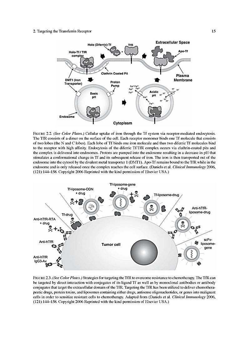 pdf Immunology of Pregnancy