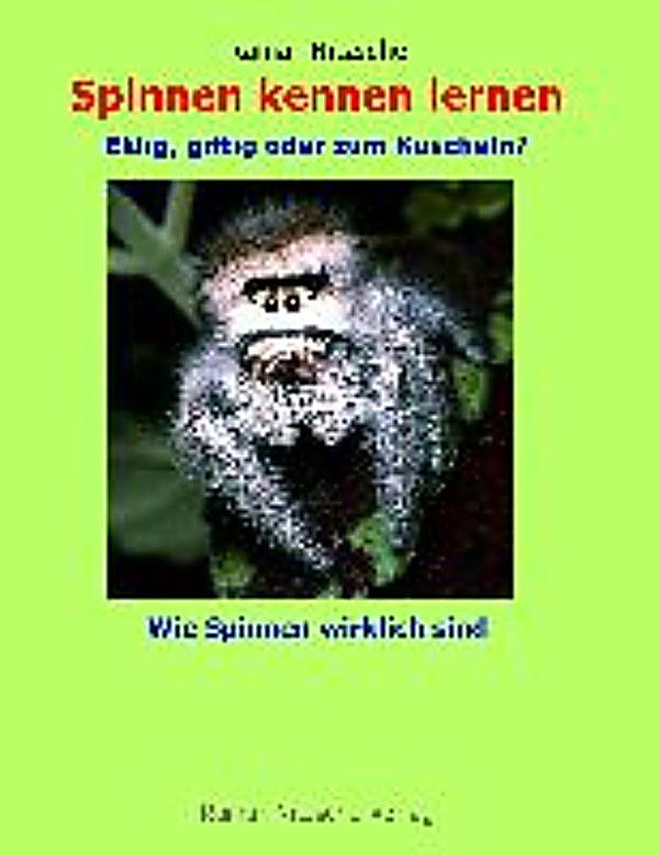 Kennen lernen kennenlernen rechtschreibung