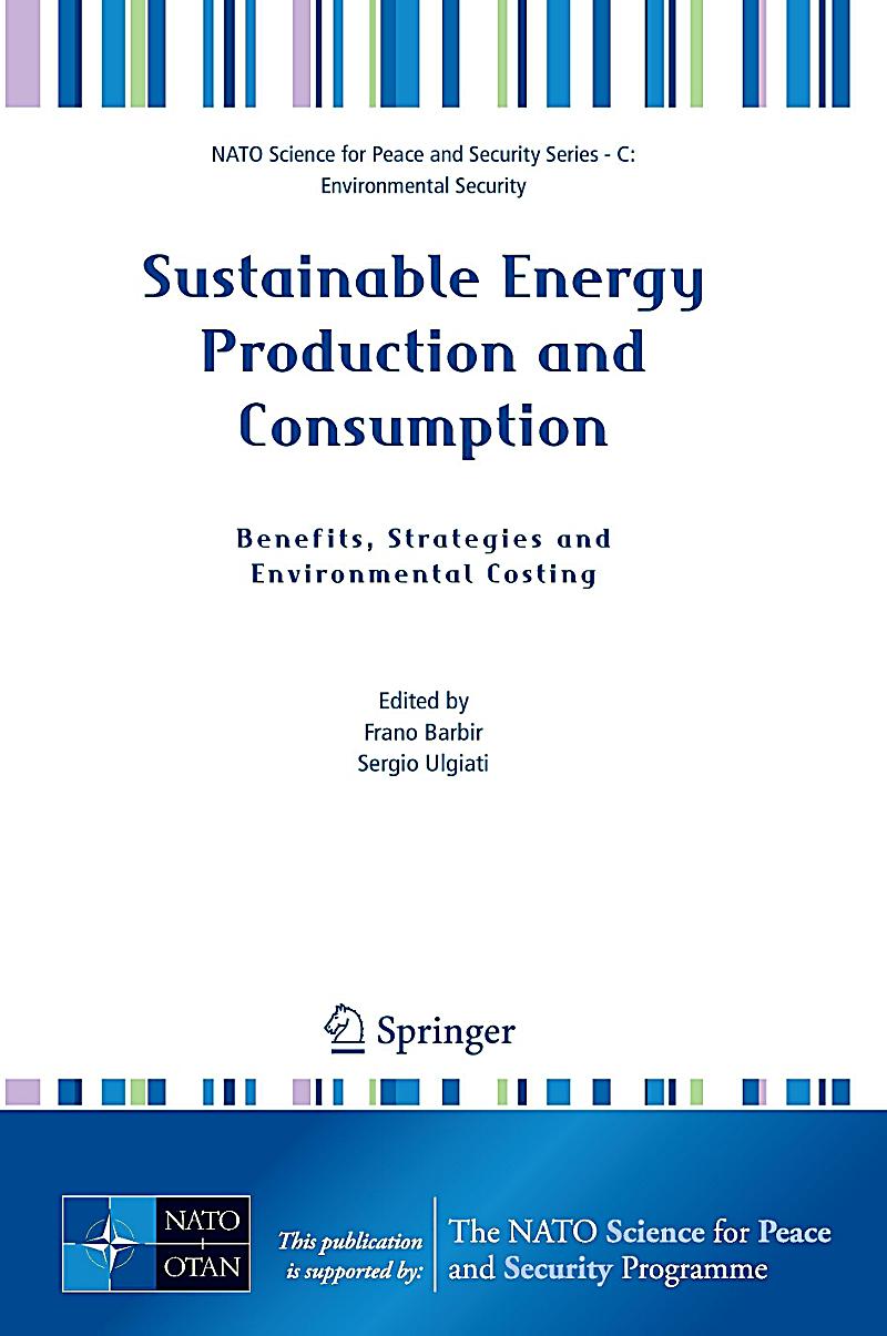 essay on sustainable consumption and production