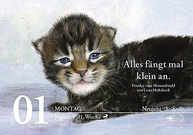 Tageskalender für Katzenliebhaber 2018 - Kalender bei Weltbild.de