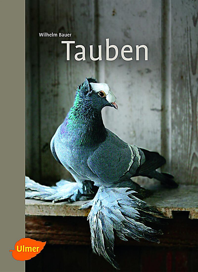 Tauben Buch von Wilhelm Bauer portofrei bei Weltbild.de