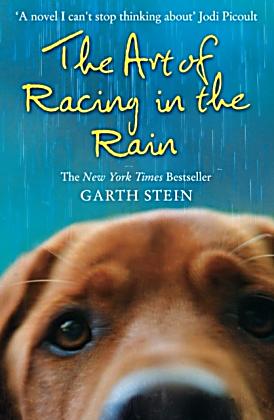 essays on the art of racing in the rain essays on the art of racing in the rain