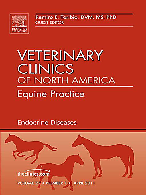 Medicine that deals with endocrine disorders