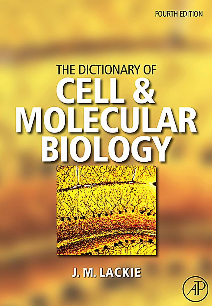 cell and animal models in aging and dementia