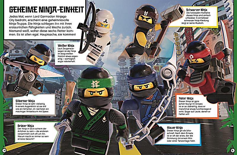Das achalbuch LEGO® Ninjago PDF