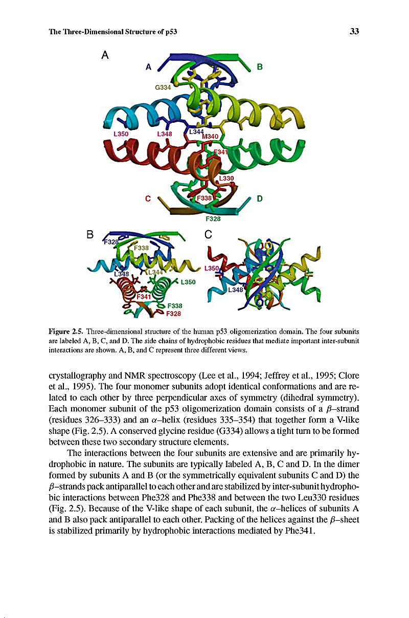 Polycystic Kidney Disease