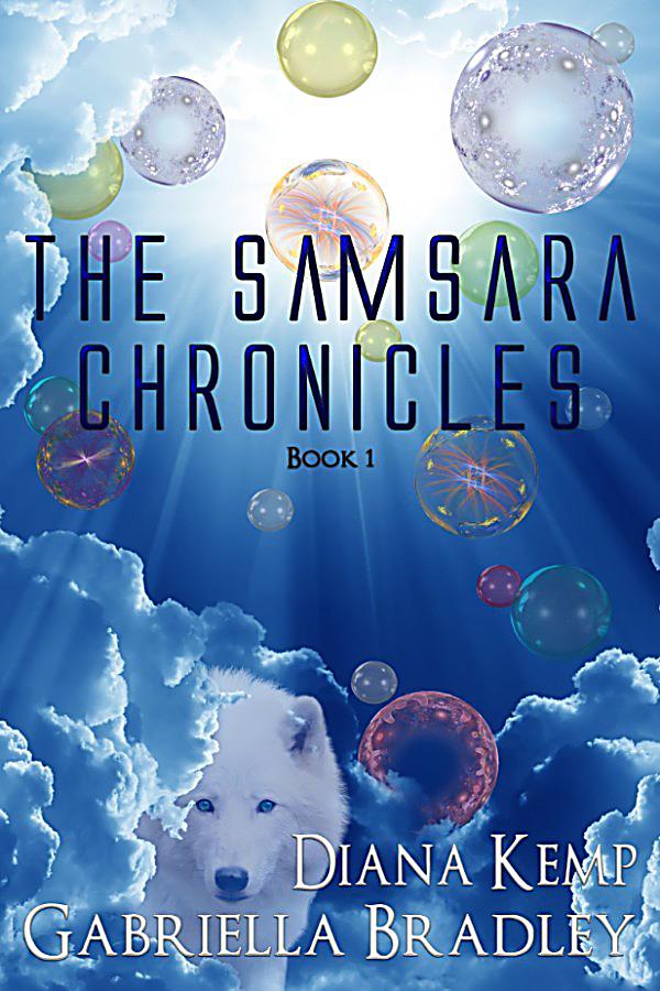 Amazoncouk: samsara