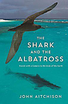 The Shark And The Albatross Buch Portofrei Bei Weltbild De