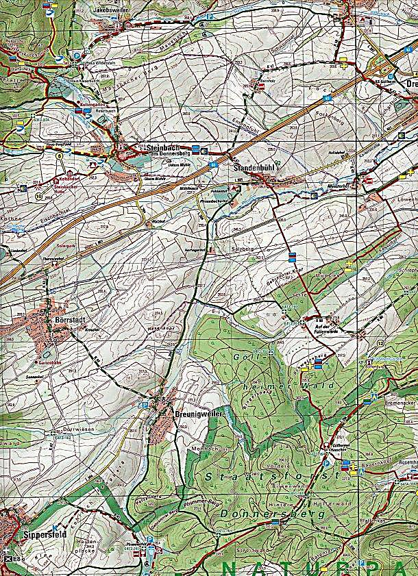 Topographische Karte Rheinland-Pfalz Naturpark Pfälzerwald Buch