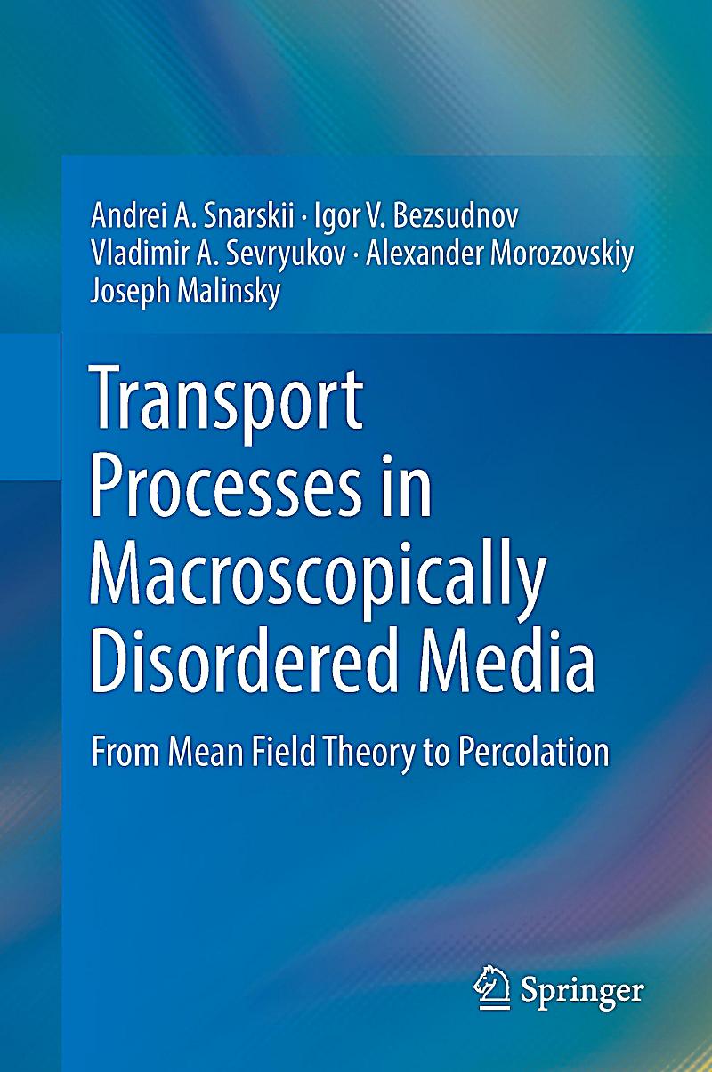 Transport Processes In Macroscopically Disordered Media