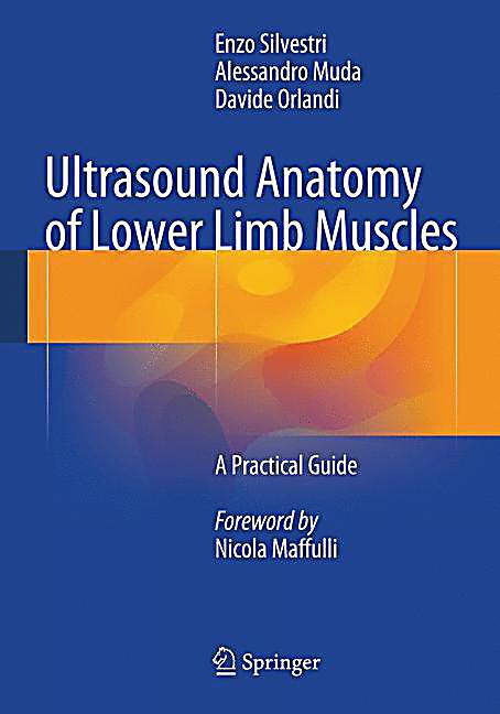 Free ultrasound reporting software download