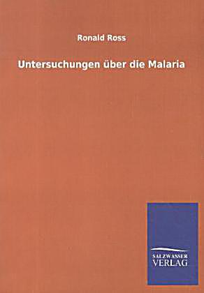 book Computergrafik in der Differentialgeometrie: Ein Arbeitsbuch