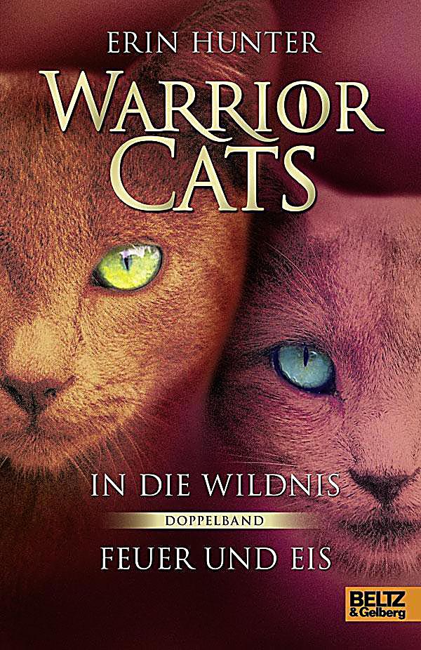warrior cats buch warrior cats buch