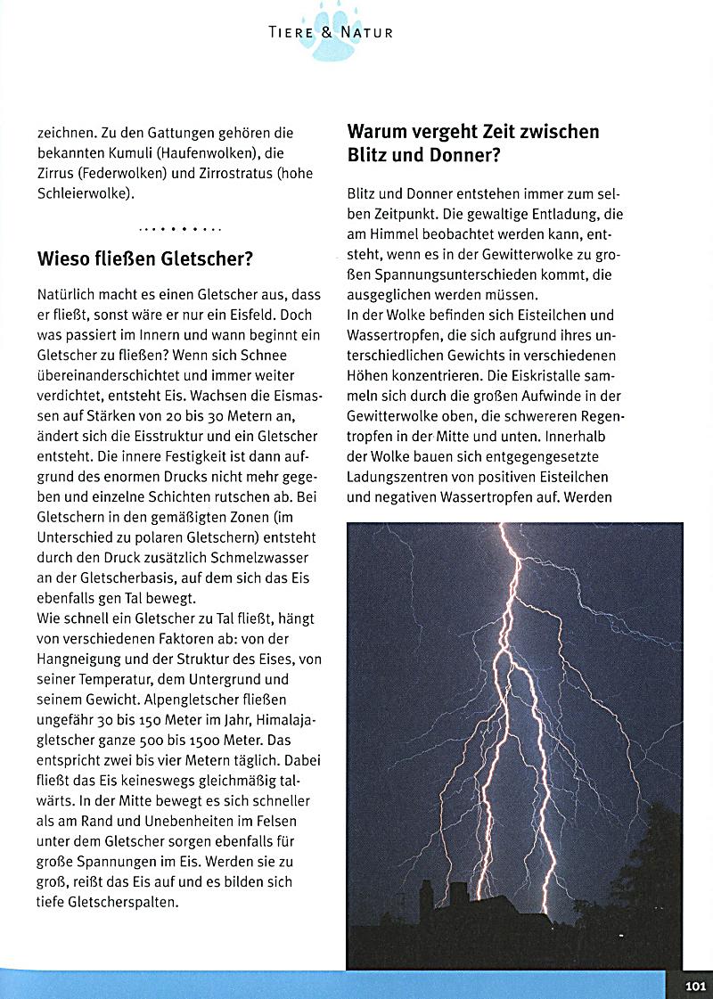 Ob die Pigmentflecke auf der Person gehen werden