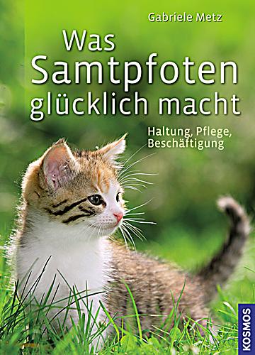 Was Samtpfoten glücklich macht