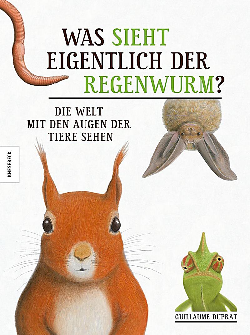 Was sieht eigentlich der Regenwurm? Buch portofrei Weltbild.de