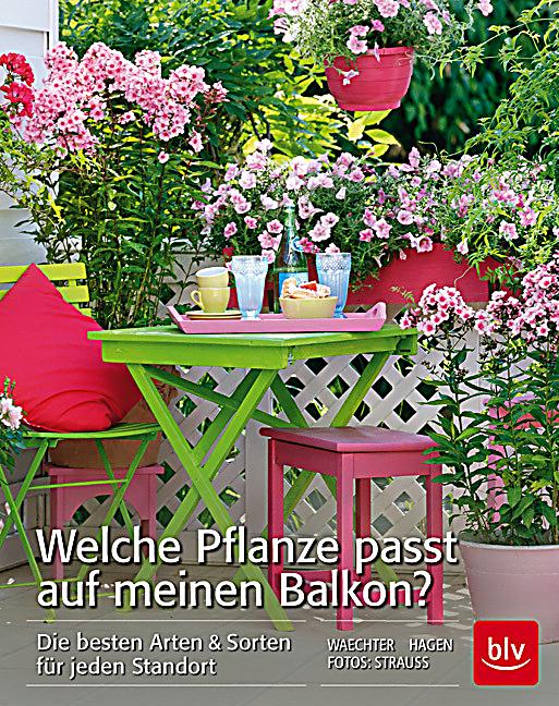 Welche Pflanze Passt Zu Mir Pflanzen Zimmerpflanze Welche Pflanze Passt Zu Mir By Auf Meinen Balkon Buch Portofrei