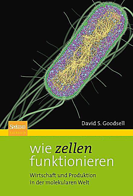 Wie Funktionieren Wie Funktionieren